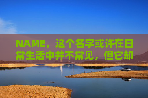 NAME,这个名字或许在日常生活中并不常见,但它却在某些领域里扮演着重要的角色。今天,让我们一起来探索这个名字背后的故事和意义